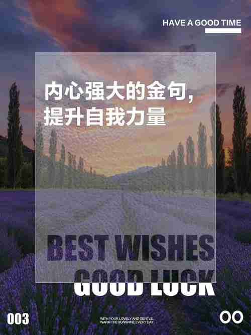 澳洲技巧，打造卓越自我，实现人生巅峰