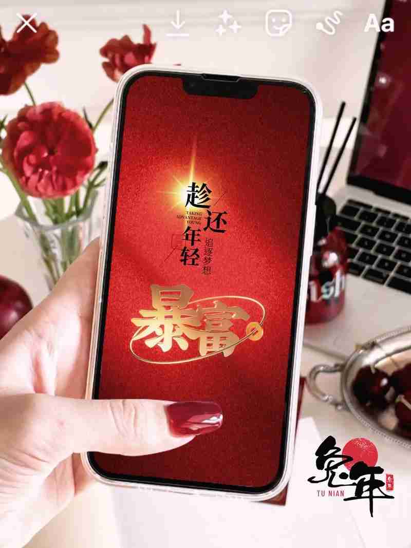 在当今信息爆炸的时代，科技的发展为个人和企业提供了前所未有的机遇，随之而来的数据安全、隐私保护等问题日益凸显，如何平衡科技进步与用户权益之间的关系，成为了亟待解决的重要议题。